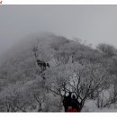 에델바이스 이미지