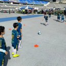 용인대열린태권도교실 | <용인대YFC> 용인 유소년 풋살대회 전승 우승🏆 1학년 미르스타디움 경기 후기 / 용인FC 유소년 풋살대회...