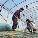 하늘그린 이미지