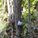 겨울나기 생태수업 이미지