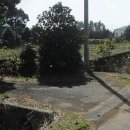 신풍리-2 이미지