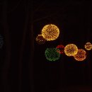 해맞이행사장 이미지