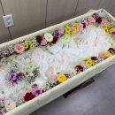 광명성애병원 이미지