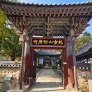 강변자전거길(남) 이미지