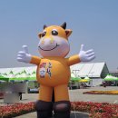 나도동네가수다 | 2026 김해 한우축제 가수 라인업 일정 기본정보 총정리 (+장소, 가격, 이벤트, 후기)