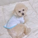 방울씨네