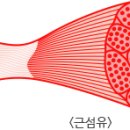 나이스포츠 이미지