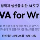 큐라이팅