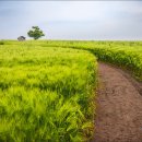 김동주농장 이미지