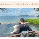 오션키즈 | 부산 파라다이스 호텔 신관 시티뷰 후기: 씨메르&amp;오션풀, 조식뷔페, 키즈 빌리지 BMW 드라이빙