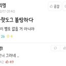 (주)별다섯 이미지