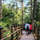 상당구청사 | 계족산 황톳길 주차장 코스 꿀정보 정리 (+직접 다녀온 후기!)