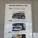 삼교리 동치미 막국수 | 강릉 막국수 맛집 삼교리동치미막국수 솔직후기