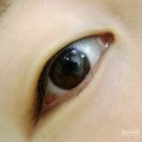 상동 393 | 상동 무쌍 속눈썹 펌 잘하는 곳 추천, 살롱뮬(펌 후기 사진 포함)