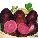 영농조합법인고운 이미지