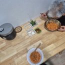 표선PC방 | 자전거타고 밥먹고 고양이보는 하루들[2025.07.08~2025.07.14]