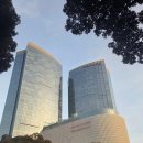 드림호텔 | [제주/노형]하얏트호텔 실제 투숙 후기 &amp; 드림타워 훠궈 🍲 + 드림타워 내부구경 최신 후기