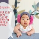 ♥♡토들앤토들♡♥ 부천+인천+대구1호점 스토케 99만원 !!! 이미지