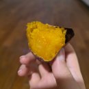 황토한증막 | 일산황토마루한증막, 초보도 버틸 수 있었던 한증막 도전 후기