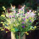 민행정사사무소 이미지