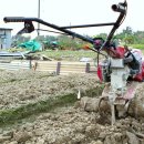 사환2길 이미지