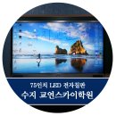 교연스카이학원