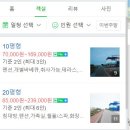 젤리피쉬팬션