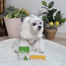 새로나약국 이미지