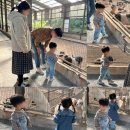 석화목장 이미지