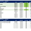 애니얼라인 이미지