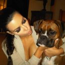 개팔자 상팔자 이미지