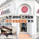 동래로덴치과병원 | 부산 10살 노견 강아지 스케일링 후기 동래 훈동물병원 비용 솔직 정리