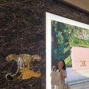 상백 | [셀린느 CELINE] 프로포즈 가방 받은 후기! 셀린느 신상백들 구경과 틴니노백 상세사진🩷