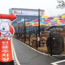 펫넘버원 이미지