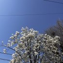 아우어 모터스 이미지