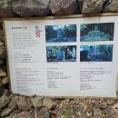 돌하르방미술관 이미지