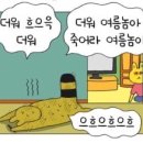 땅땅치킨연동점