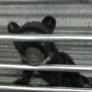 좌동 119 안전센터 이미지