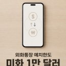 H-060 | 하나머니 외화통장 개설 방법 및 예치한도 이자 가입대상 환율 총정리