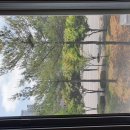 중동로443번길 이미지