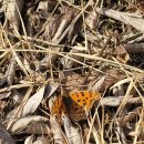 네발로갈때까지 이미지