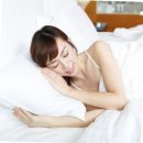 꿀잠자리 이미지