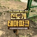 진도개천국 | [전남-진도] 진도개테마파크-댕댕이 천국! 아이와 진도개 테마파크 200% 즐기기 / 아이랑 가볼만 한 곳...