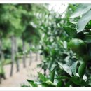 정돈농장 이미지