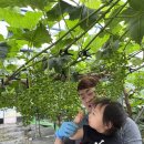 샤인농장 이미지