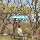 개화마을회관 | 경기도 이천 산수유마을 축제 기본 정보 및 실시간 개화 현황