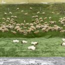 풍산목장 이미지