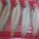 새만금군산건어물