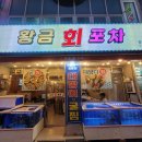 첨단대방어 횟집 추천 황금회포차 대방어회 솔직후기