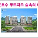 숲속의 아침 이미지